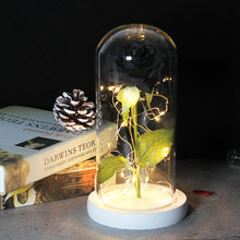 Load image into Gallery viewer, Beauty And The Beast Rose, Enchanted Rose With LED Lights In Glass Dome
