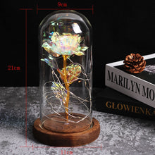 Load image into Gallery viewer, Beauty And The Beast Rose, Enchanted Rose With LED Lights In Glass Dome
